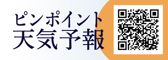 ピンポイント天気情報